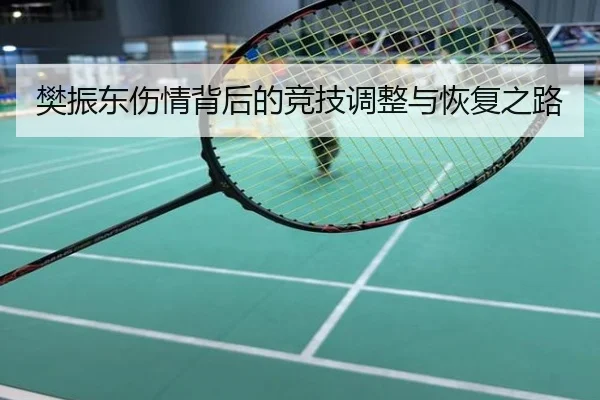 樊振东伤情背后的竞技调整与恢复之路
