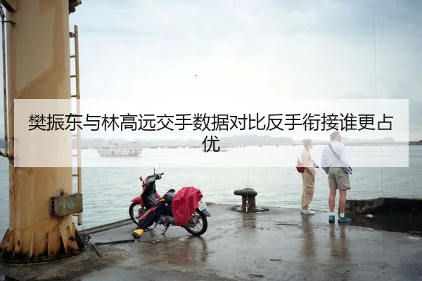 樊振东与林高远交手数据对比反手衔接谁更占优