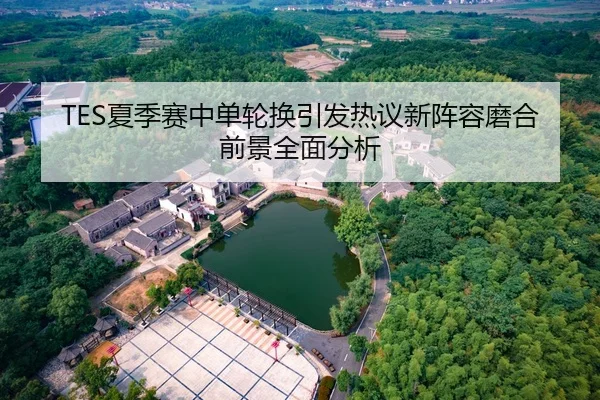 TES夏季赛中单轮换引发热议新阵容磨合前景全面分析